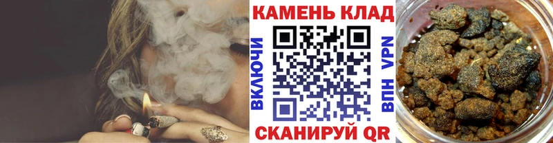 дарк нет формула  Каргат  ГАШИШ VHQ 