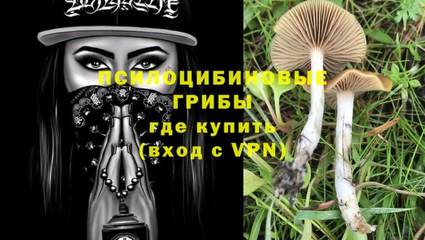 круглые Алексеевка
