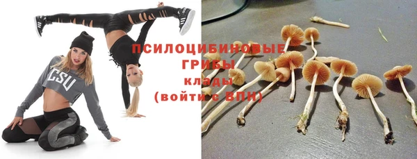 круглые Алексеевка