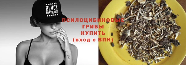 круглые Алексеевка