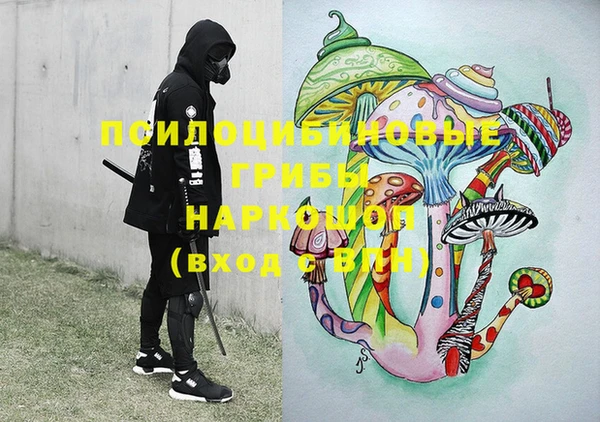 дурь Алексин