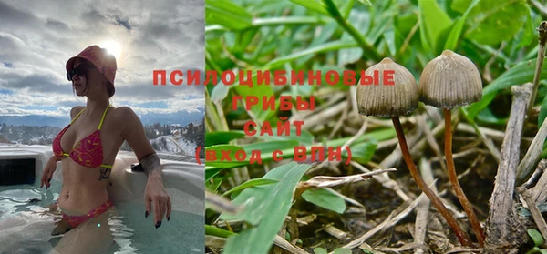 дурь Алексин