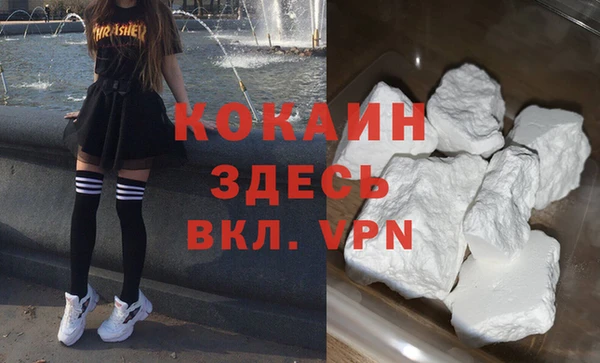 дурь Алексин
