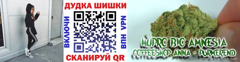 Шишки марихуана семена  Каргат 